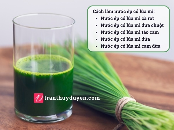 Cách mix nước ép cỏ lúa mì