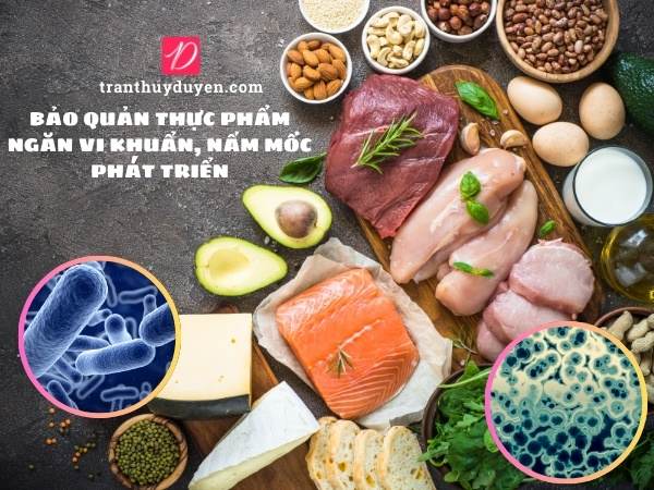 Bảo quản thực phẩm ngăn vi khuẩn, nấm mốc phát triển