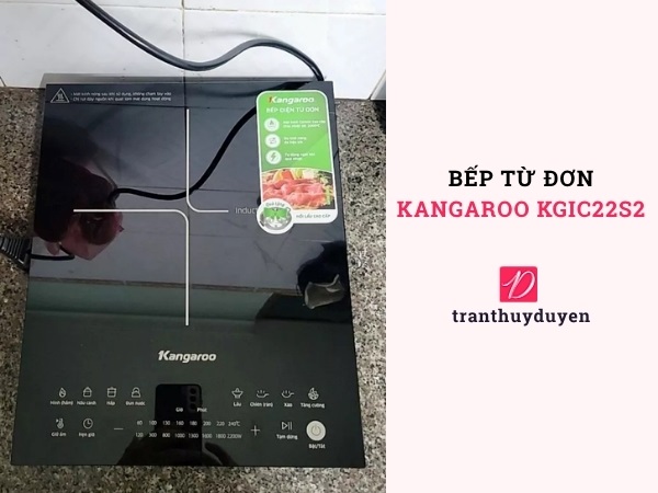 Bếp từ đơn Kangaroo KGIC22S2
