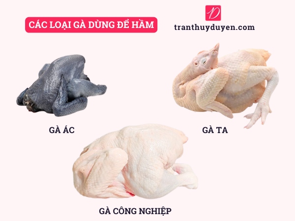 Các loại gà dùng để hầm