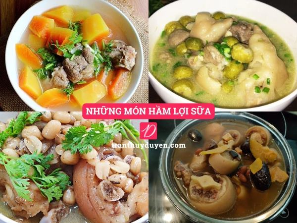 Một số món hầm lợi sữa