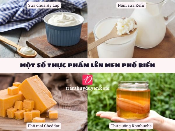 Một số loại thực phẩm lên men phổ biến